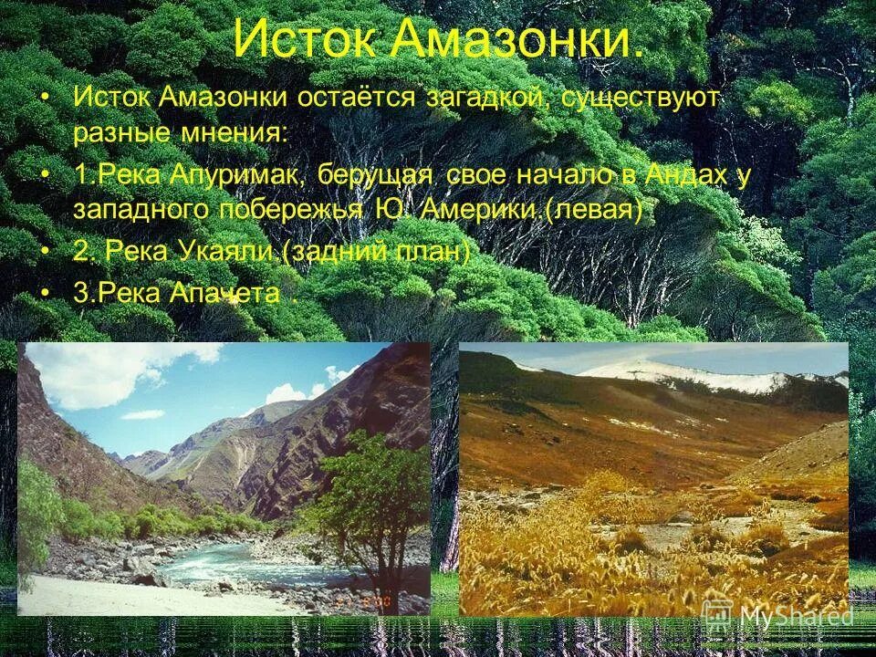 Исток реки амазонка. Укаяли исток. Река амазонка в бразилии. Воды амазонии. Амазонка исток.
