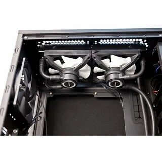 P performance