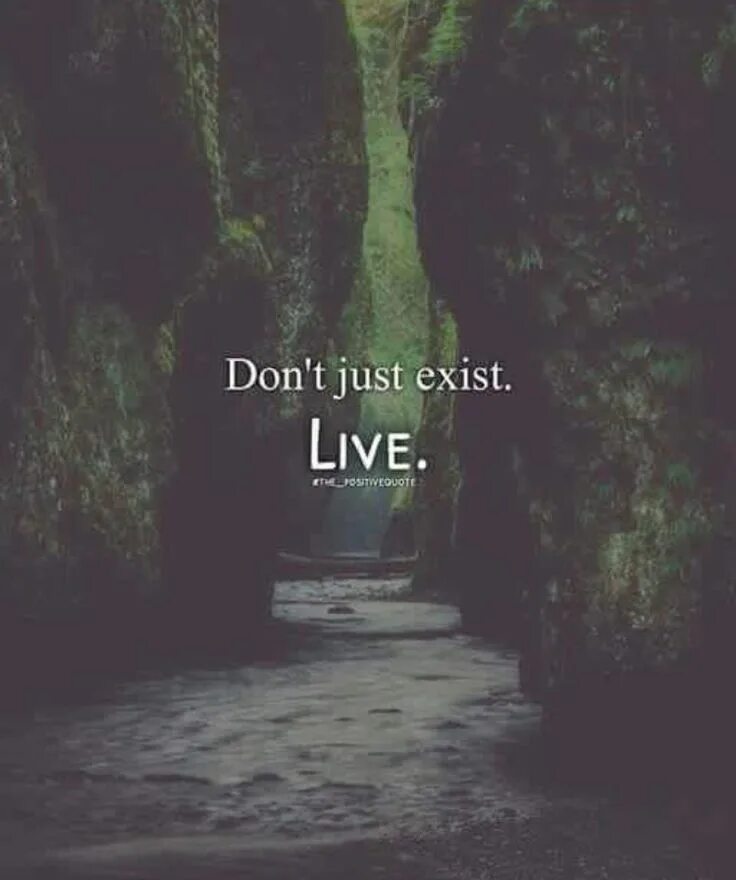 Just exist. Одежда dont just exist, Live. Im just exist. Свитер dont just exist, Live.