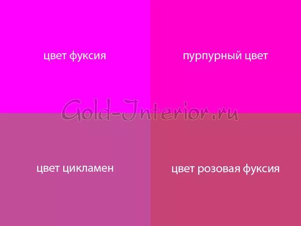 Цвет правды. Цикламен и фуксия цвета различия. Цикламеновый цвет и фуксия. Фуксия цвет оттенки. Розовая фуксия цвет.