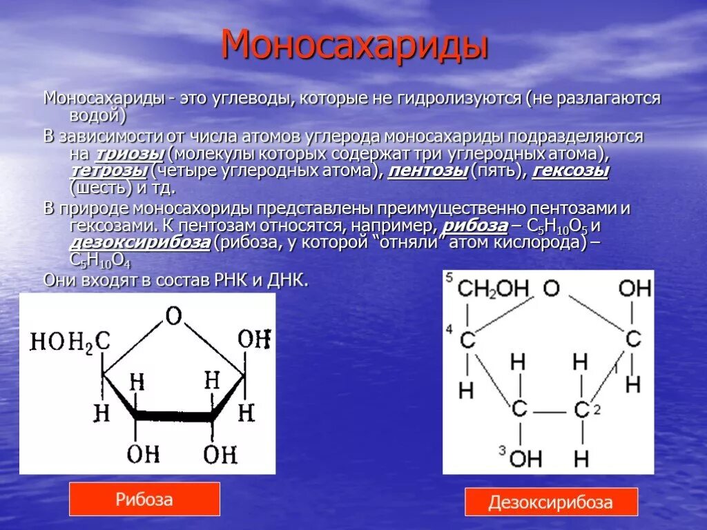 Углеводы моносахариды формулы. Моносахариды Глюкоза фруктоза рибоза. Моносахариды формулы веществ. Моносахариды гексозы формула. Фруктоза органическое вещество