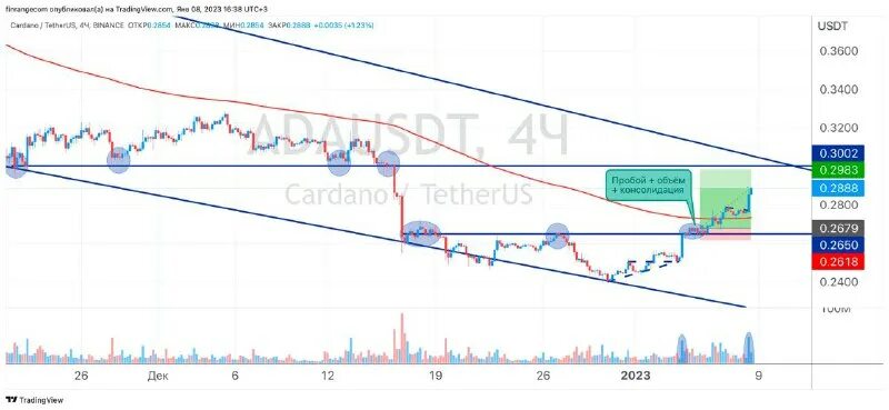 D7 доходность