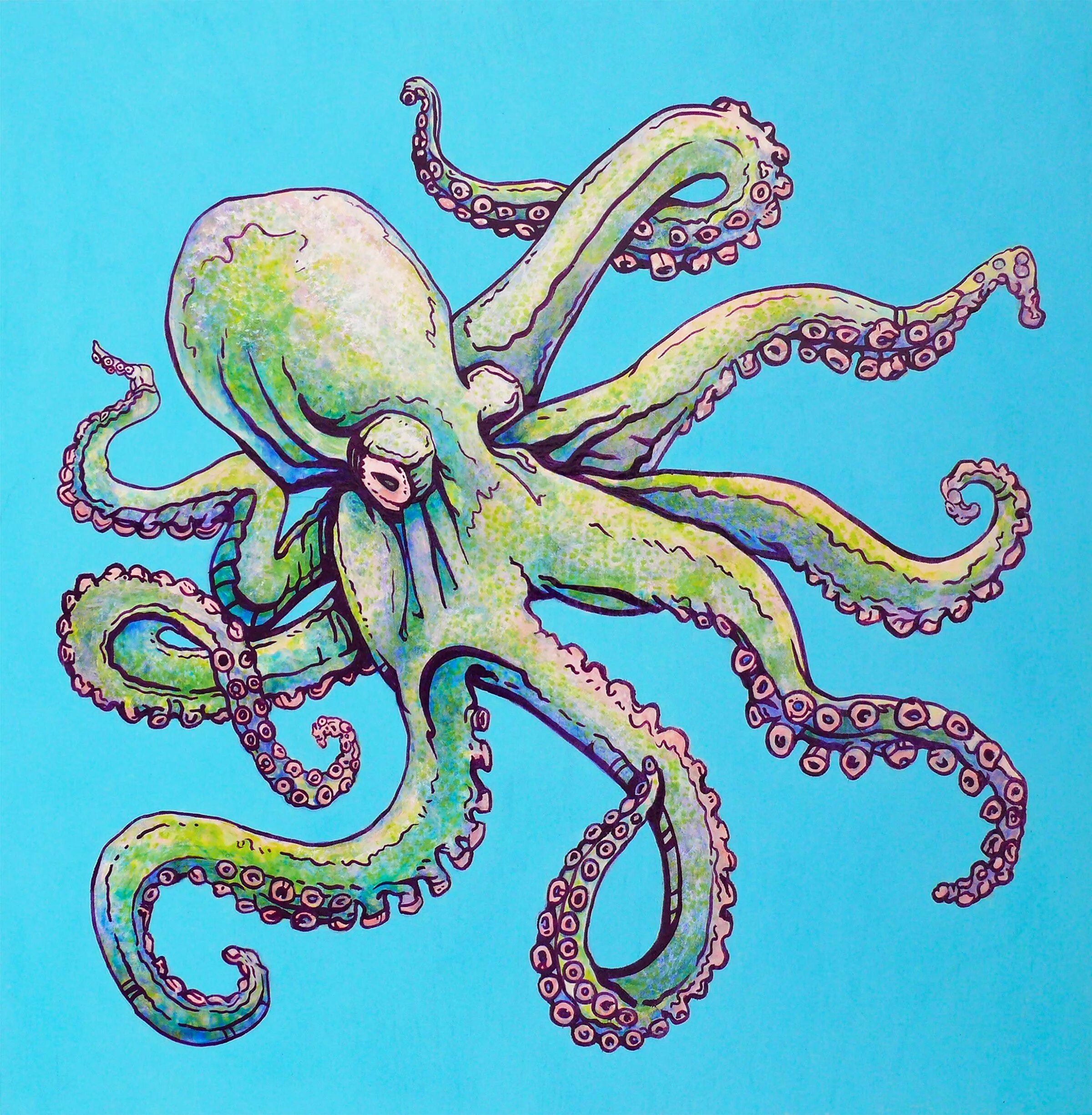 Дон осьминог. Осьминог кракен. спрут кальмар кракен. кракен щупальца illustrator. осьминог кракен осьминог.