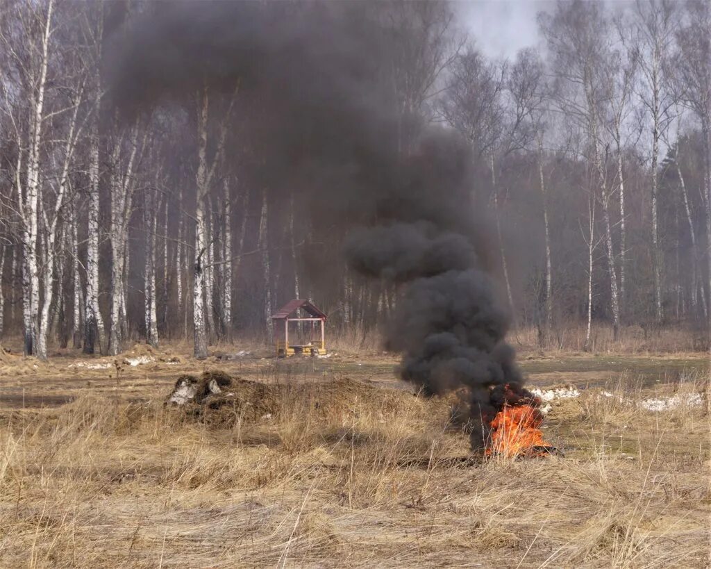 Готовность к пожароопасному сезону. Пожароопасный период в лесу. Подготовка к пожароопасному сезону. С какого числа пожароопасный период