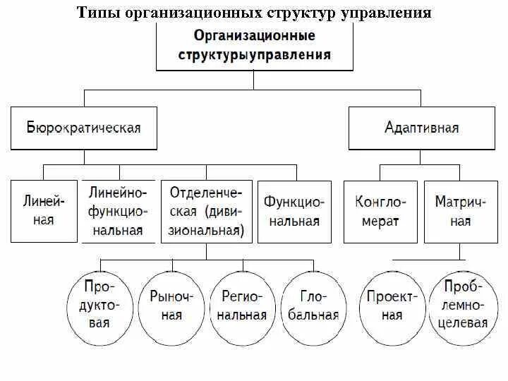 Какому виду организационной структуры. Типы организационных структур. Типы организационных структур управления. Типы организационных структур в менеджменте. Типы Тип организационной структуры управления.