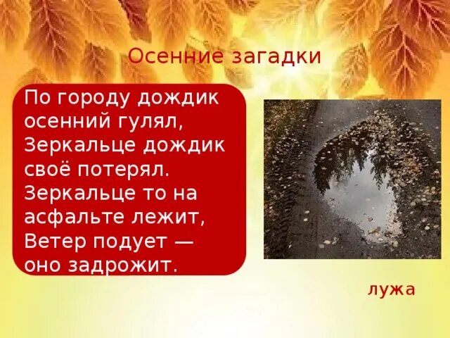 Осенние дождики вовсе не похожи впр 6. По городу дождик осенний гулял зеркальце дождик своё потерял. Загадка про лужу. Загадка про лужу для 1 класса. Загадка про лужу для детей.