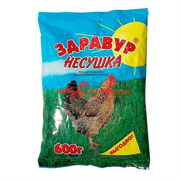 Несушка купить оптом