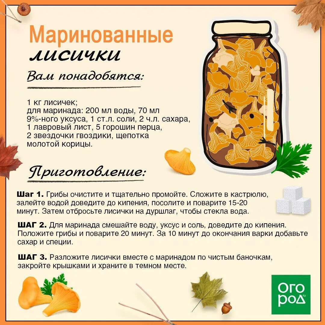 Лисички в банку на зиму рецепт. Соленые лисички. лисички маринованные. грибы лисички маринованные. маринованные лисички на зиму рецепты.