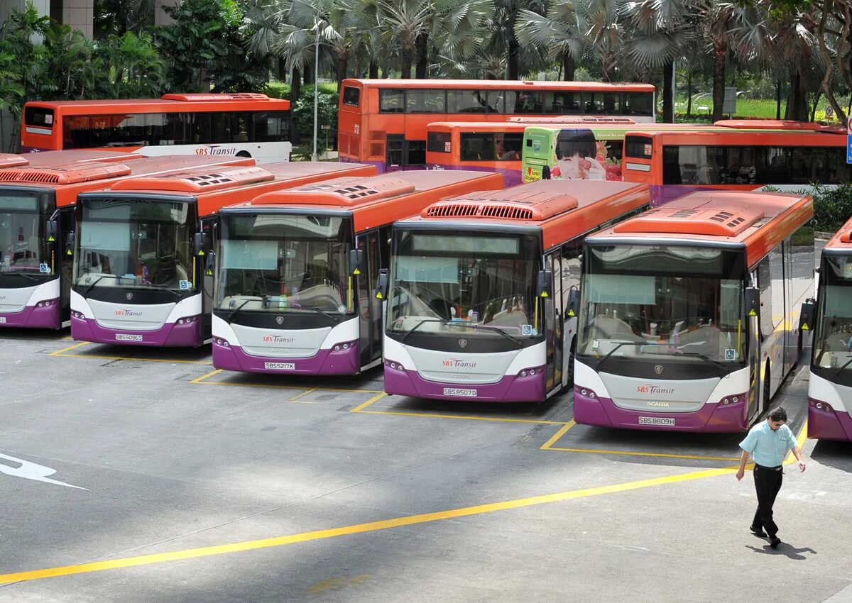 Общественный транспорт 50. Сингапур транспортная система. Автобусы в Сингапуре. Сингапурский общественный транспорт. Сингапурский автобус.