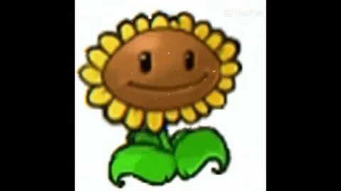 #pvz #plantsvszombies #plants #sunflower - YouTube