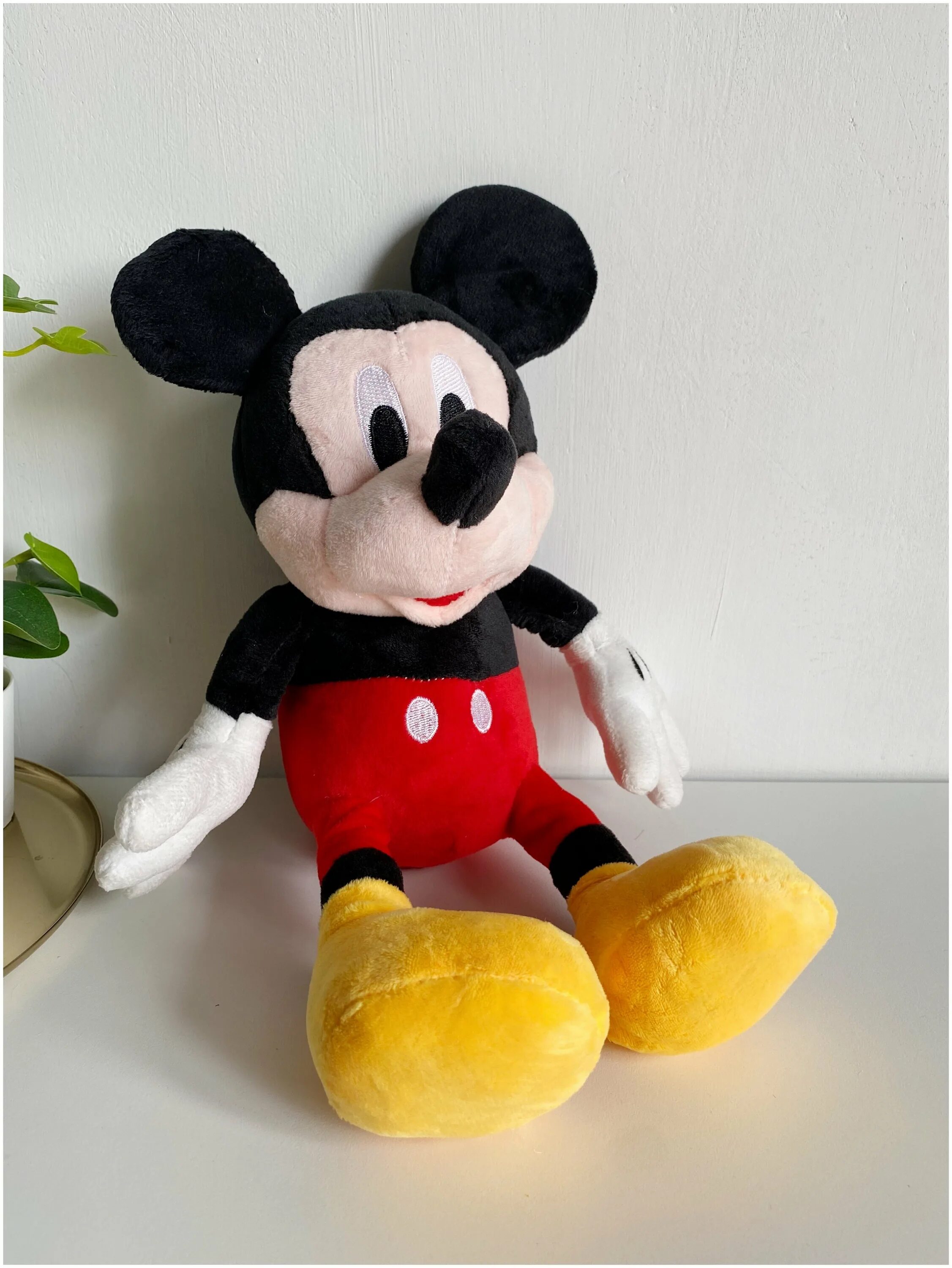 Микки макс бренд. Микки макс калуга. Fnati mickey. Минни маус костюм аниматора. Микки макс калуга.