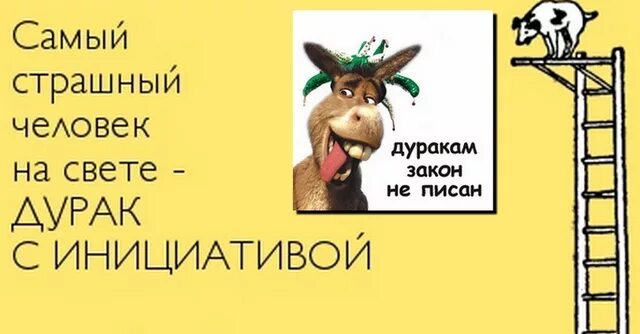 Дурак дураком как пишется. Дуракам закон не писан. Поговорки про дураков. Карикатура дурак. Поговорка дуракам закон не писан.