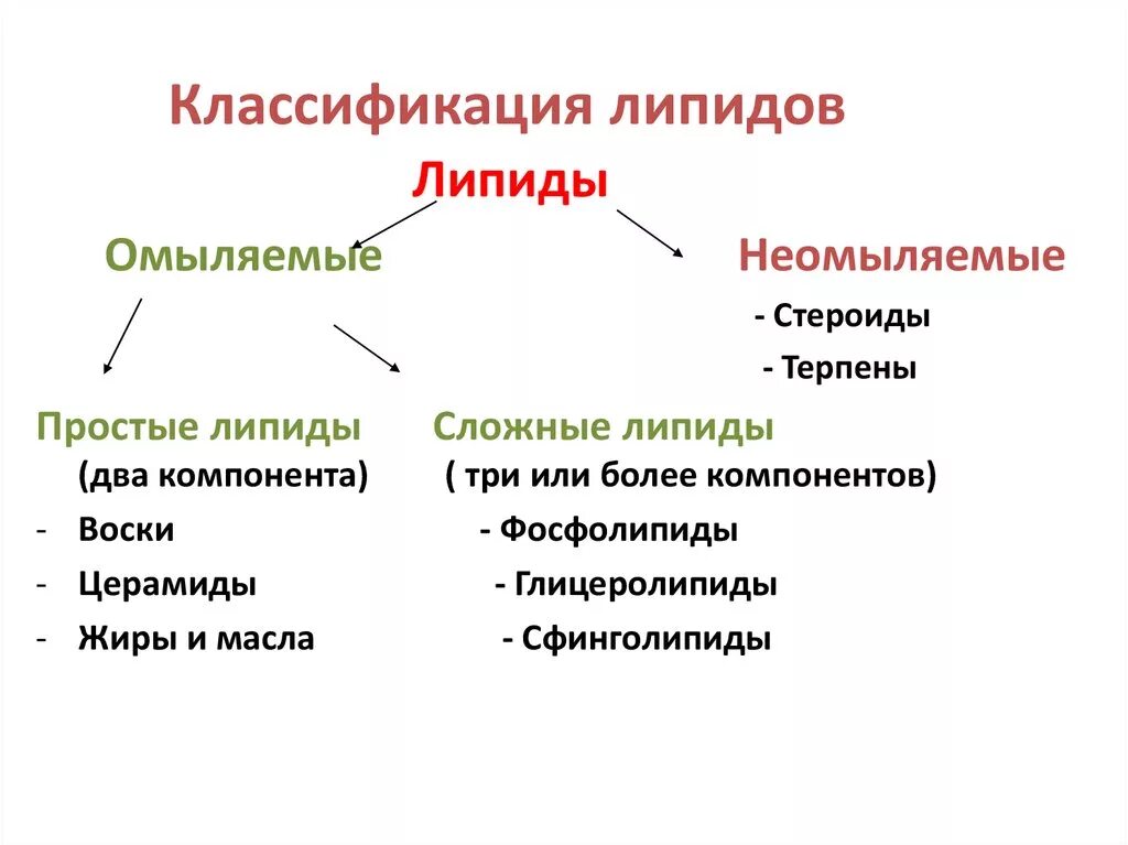 Жиры относятся к группе. Классификация жиров и липидов. Липиды классификация строение и функции. Структура, классификация, функции липидов. Жиры липиды классификация.