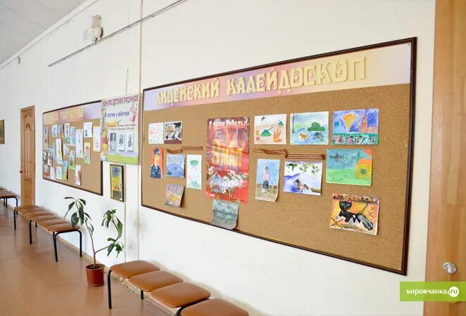 Лицей естественных. Лицей естественных наук города кирова директор. Директор лицей естественных наук киров. Лицей естественных наук киров фото. Лицей естественных наук города кирова директор.