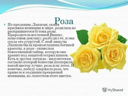 Что значит имя хоть розой назови