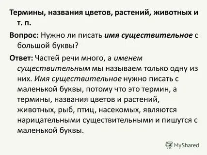 Как пишется имя нона