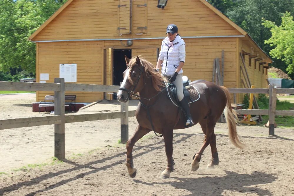 Кск дом. Лошади конный клуб. Крытый манеж кск дивный. Hamilton ontario конюшни. Конюшня solana stables.