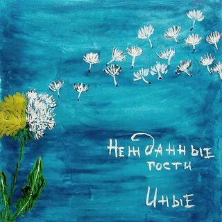 Гости минус