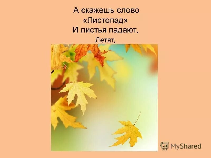 Падающие осенние листья. Текстуры осенних падающих листьев. Падающие листья. Падающие листья. Листья падают на английском.
