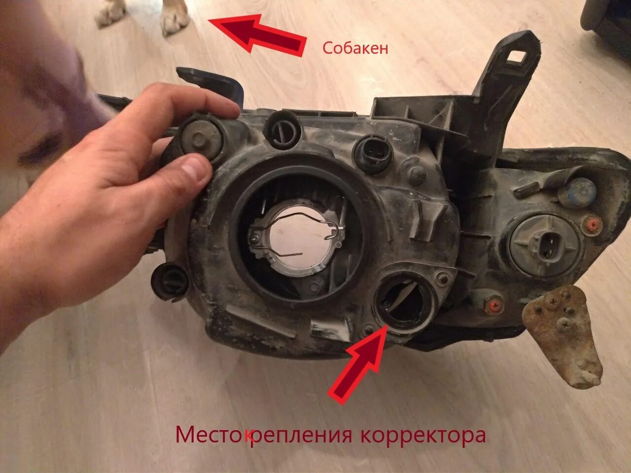 Как отрегулировать мицубиси. Корректор фары мицубиси л200 2008. корректор фар митсубиси л200. корректор фар л200 хелла. mitsubishi l200 регулировка фар.