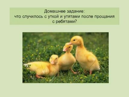 Основная мысль утенок