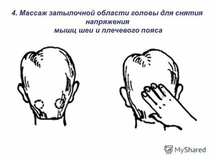 Область затылка головы