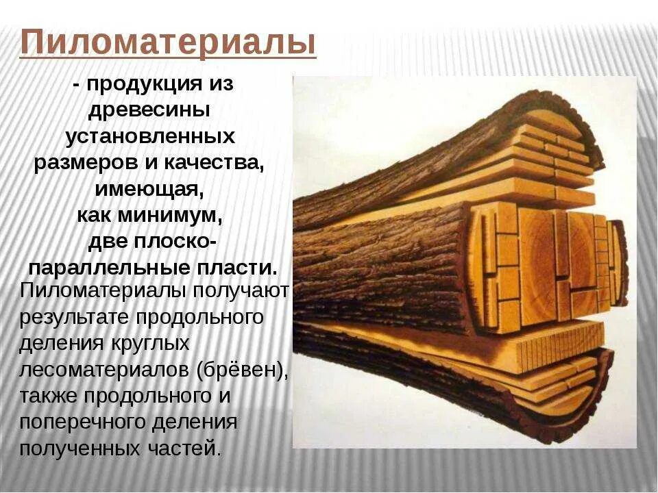 Сообщение изделия из древесины 5 класс технология. Древесина пиломатериалы и древесные материалы. древесина пиломатериалы. пиломатериалы получаемые из древесины. презентация по теме пиломатериалы.