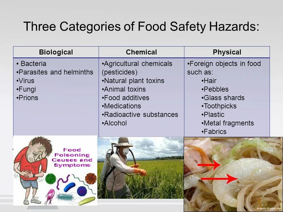 Biology Hazards food Safety. Chemical Hazards in food. What is food Safety. Food Safety contamination. Topic h