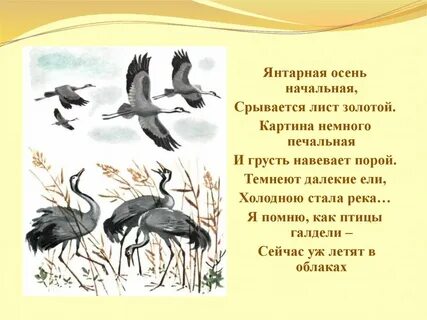 Почему листопадничку захотелось убежать за журавлями