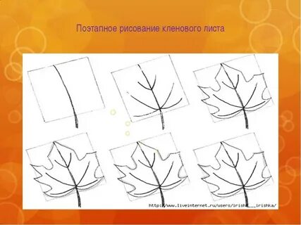 Рисуем лист клена поэтапно