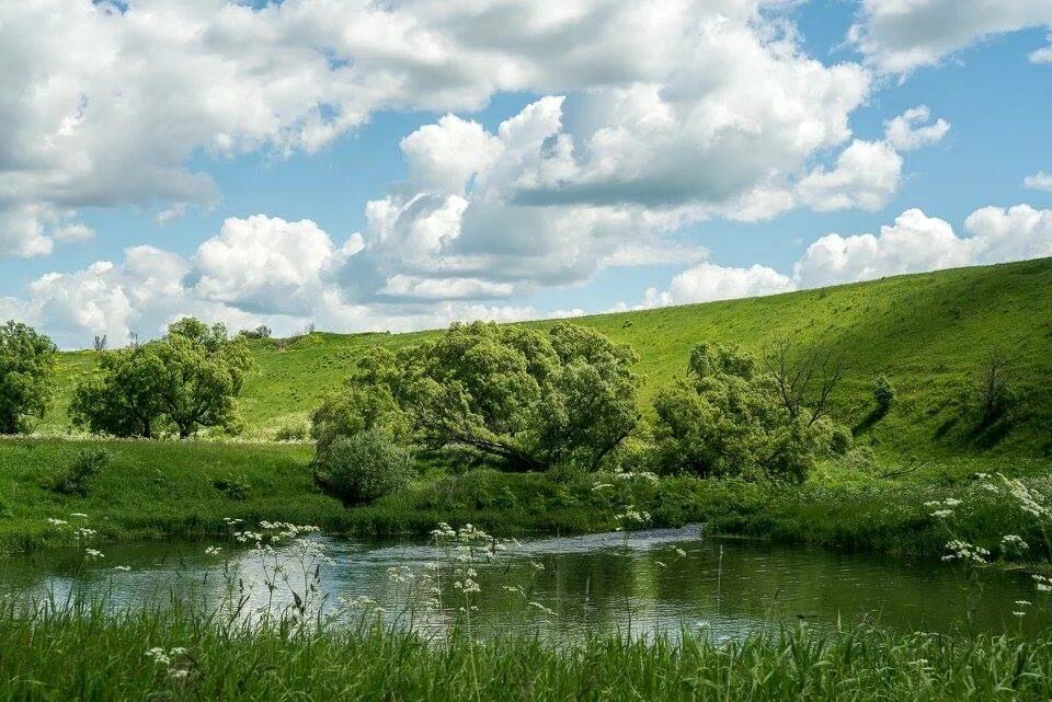 бежин луг тульская область. бежин луг орловская область. бежин луг тульская область музей. усадьба бежин луг в тульской области. бежин луг июльский день.