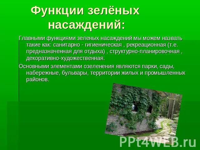 Функции зеленых насаждений. Главные функции зеленых насаждений. Функции зеленых насаждений в городе. Зеленые насаждения в городах выполняют функции. Роль зеленых насаждений в городе