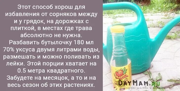Как избавиться от сорняков уксусом. Народное средство от сорняков и травы. народныесрежства от слрняклв. средство от сорняков с уксусом. народные способы от сорняков.