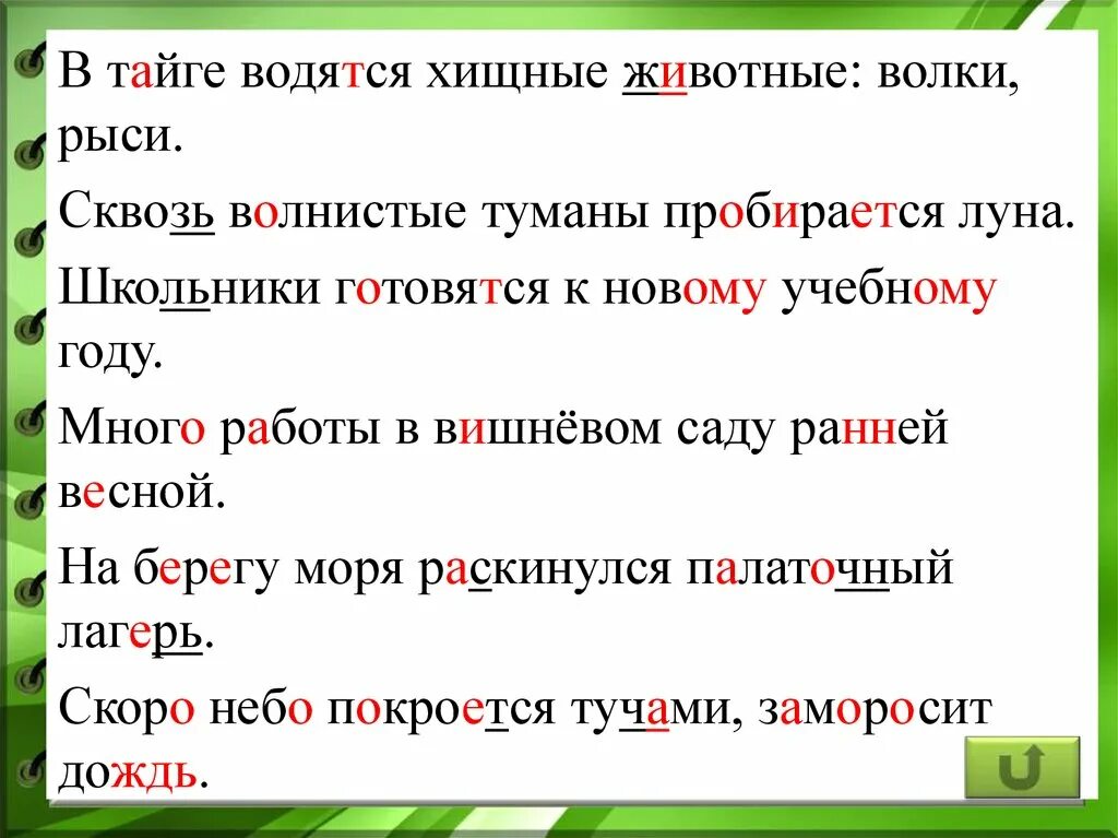 Акимов опытный охотник пробирался по кустарнику диктант. Зрительный диктант. Предложения под диктовку 4 класс. Зрительный диктант 4 класс. Диктанты Федоренко.