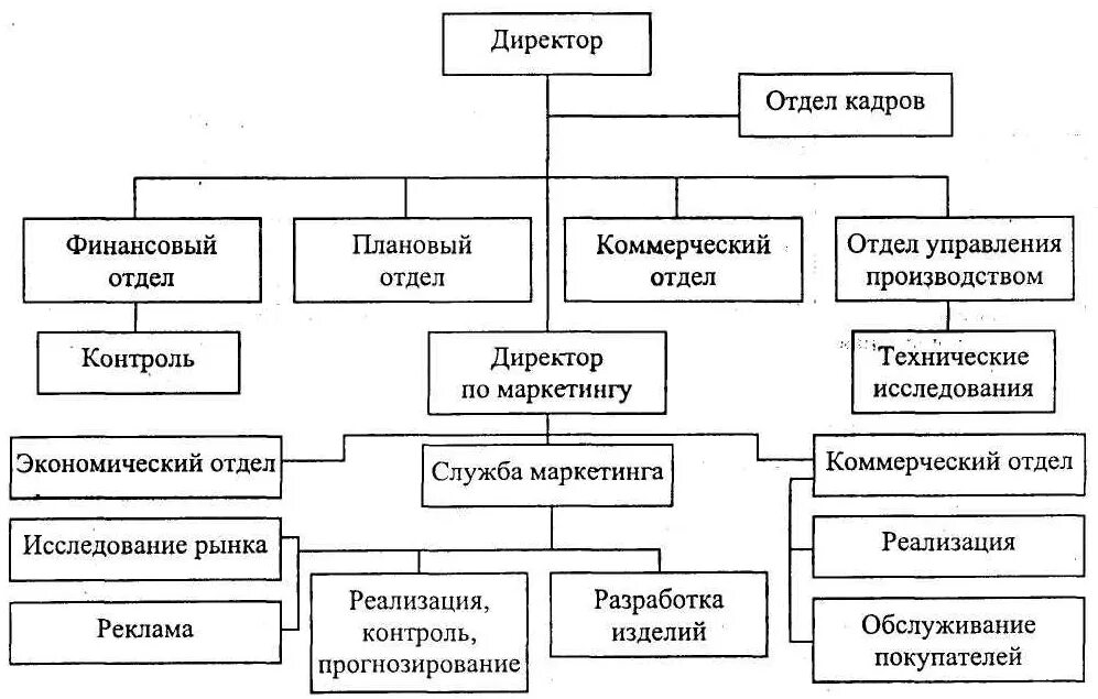 Коммерческий директор и финансовый директор. Организационная структура коммерческой организации. Коммерческий директор организационная структура. Организационная структура предприятия коммерческий отдел. Коммерческий директор структура управления.