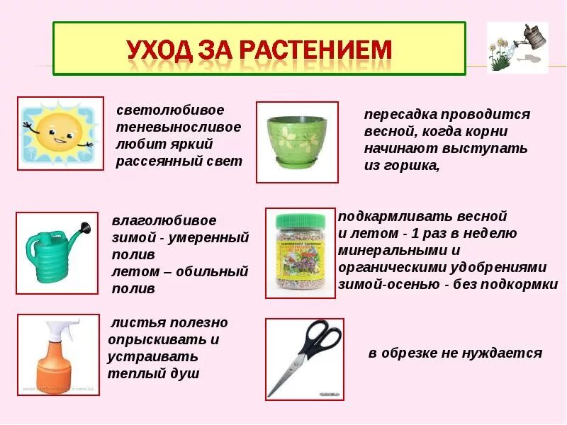 Метод ухода за растениями