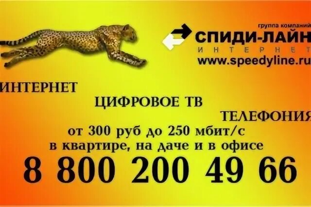Спидилайн