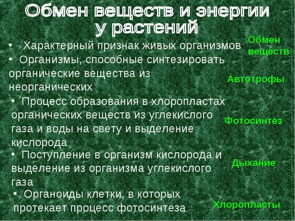 Обмен веществ у растений тест 6 класс. Презентация на тему обмен веществ. Продукты обмена веществ у животных. Обменные процессы у растений. Обмен веществ живых организмов.