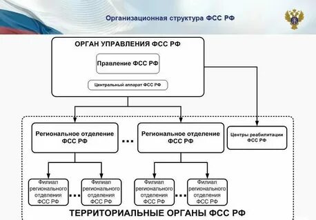 Фонд социального страхования орган власти
