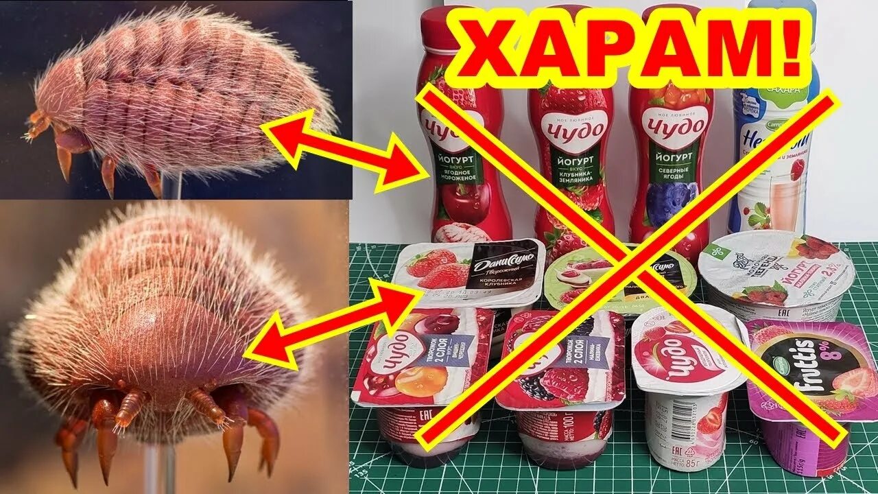 Крабовые халяль или харам. Харам продукты. Харам и Халяль продукты. Кармин краситель Халяль. Продукты харам у мусульман.