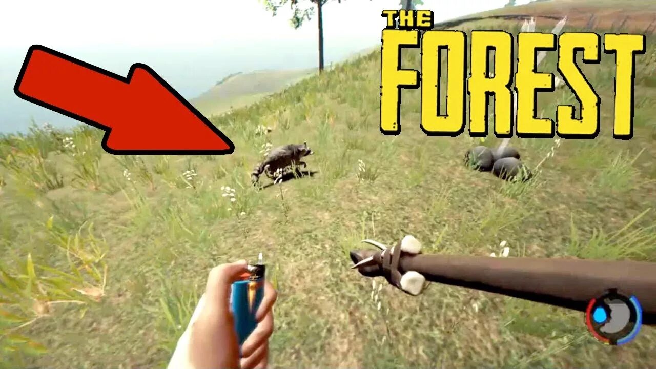 THE FOREST - САМОЕ РЕДКОЕ ЖИВОТНОЕ! ГДЕ НАЙТИ ЕНОТА? - YouTube