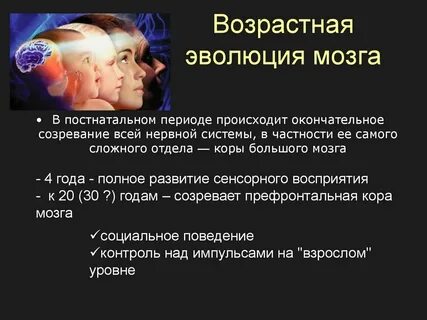 От чего зависит развитие нервной системы плода