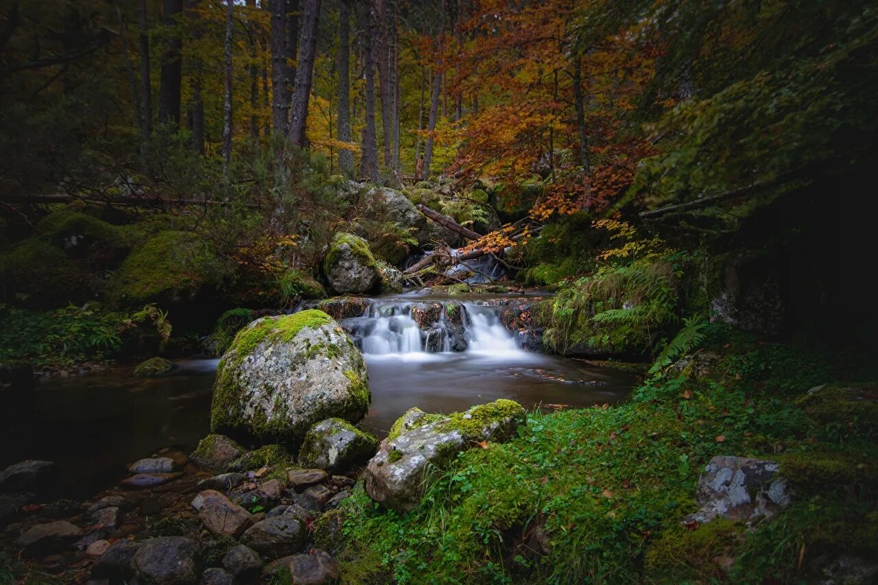 Каменный ручей осень. Вода ручей. Камни в природе. Камень в лесу.