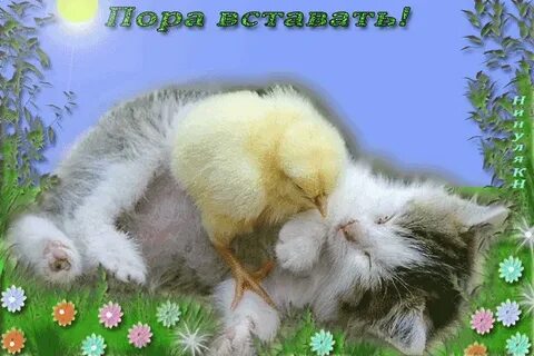 Мерцающие открытки с животными добрым утром