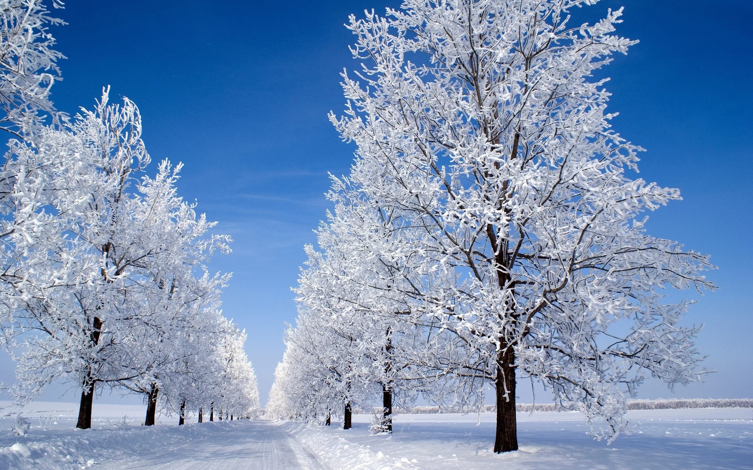 Картинки на тему зима