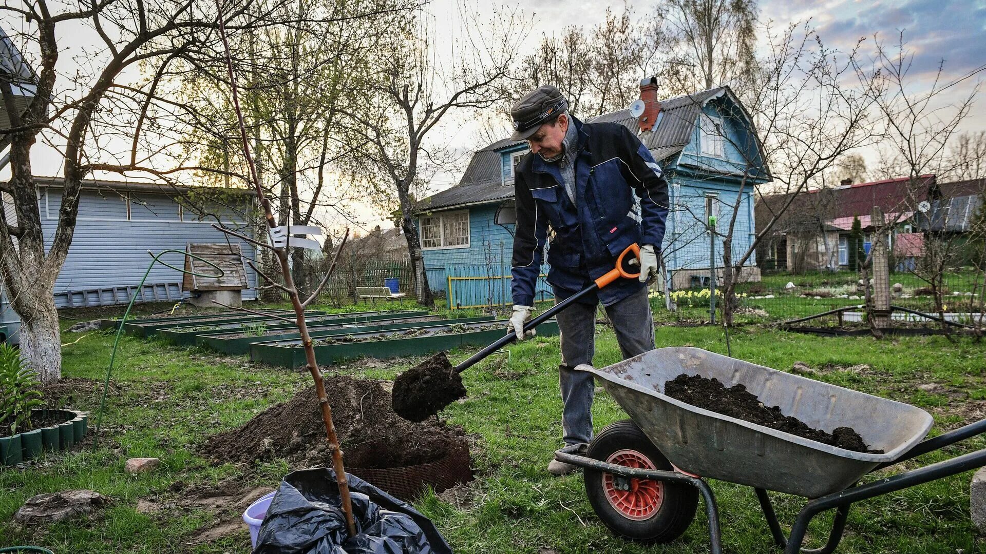 Работаем на дачном участке. Дачники на даче. Вкалывать на даче. Майские праздники на даче. Владелец дачного участка.