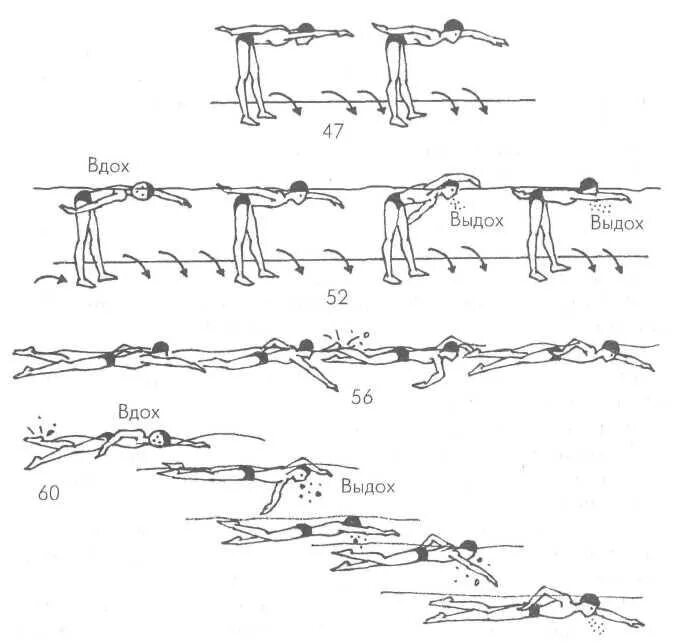 Обучение техники плавания кролем. Упражнения для плавания кролем. Тренировка пловца на суше Кроль. Упражнения на суше для плавания кролем. Упражнения Кифута для пловцов на суше брасс.