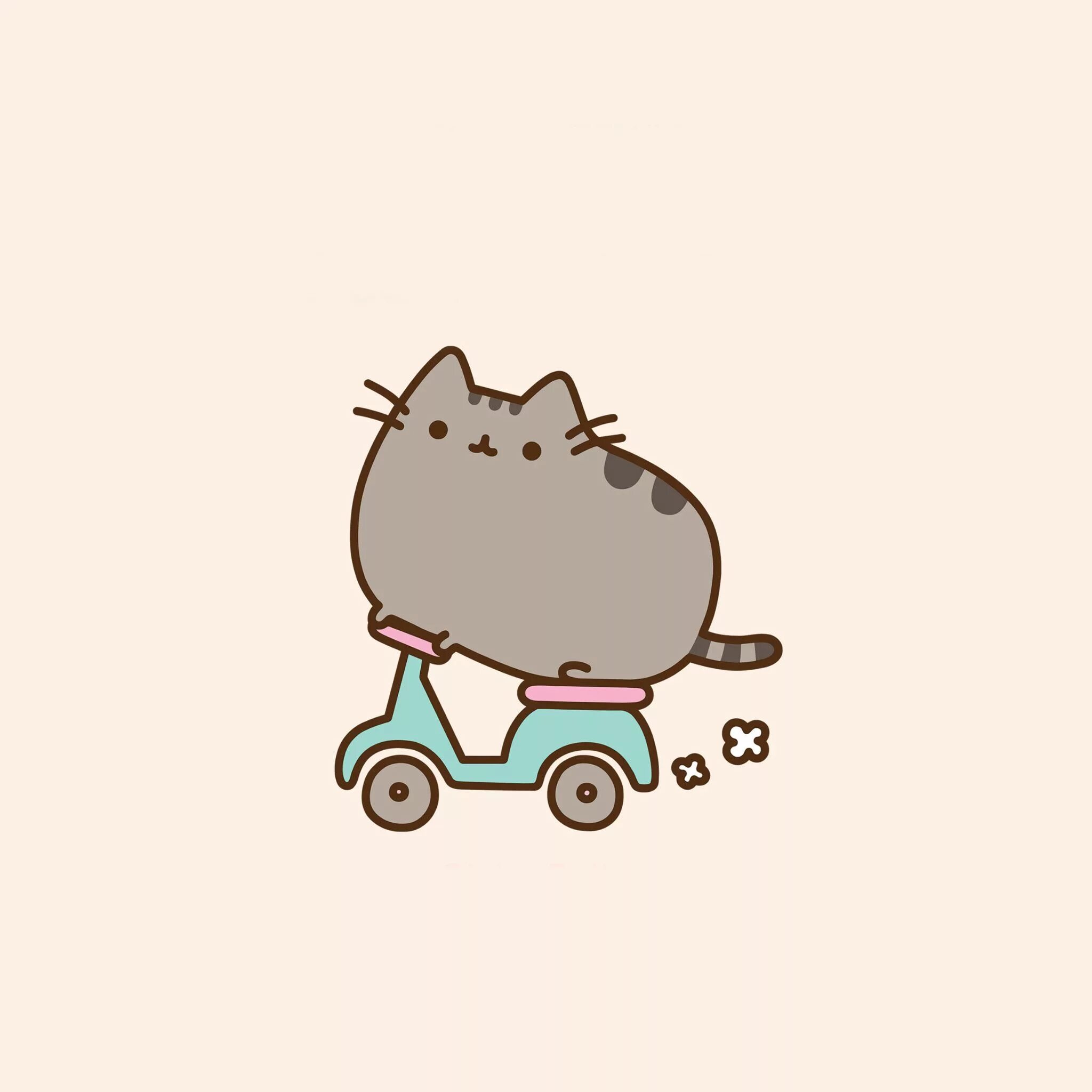 Пуш кот. Кот пушин. котики pusheen. милые рисунки. пуше кот.