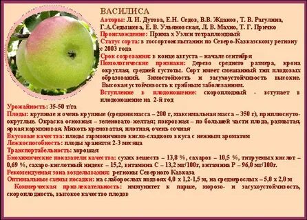Иммунные яблоки