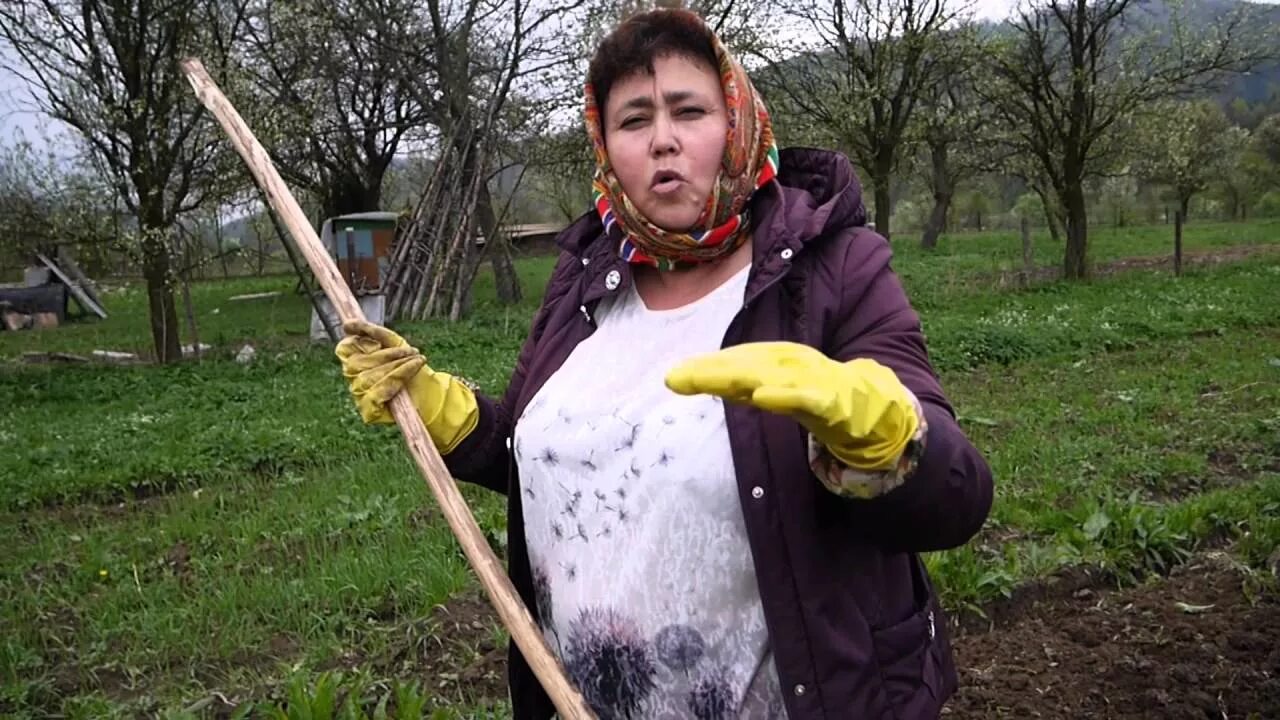 Огородное видео
